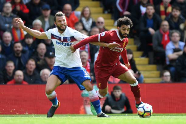 這裡的落羽 這裡的落羽